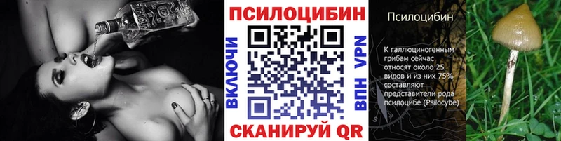 закладки  Киселёвск  Псилоцибиновые грибы Magic Shrooms 